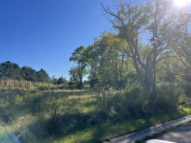 Cedaer Bluff Motel - Sept 4 2024 (newer photo)